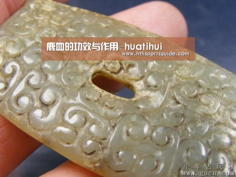 华体会官网首页