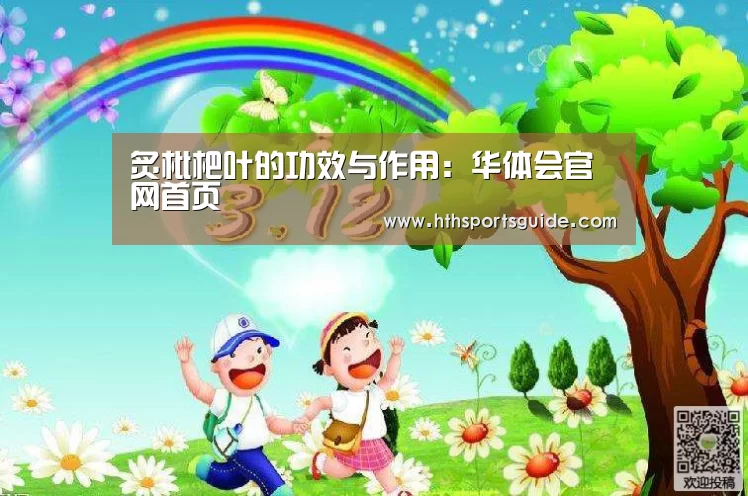 炙枇杷叶的功效与作用:华体会官网首页(图2) 炙枇杷叶的功效与作用:华体会官网首页(图2)